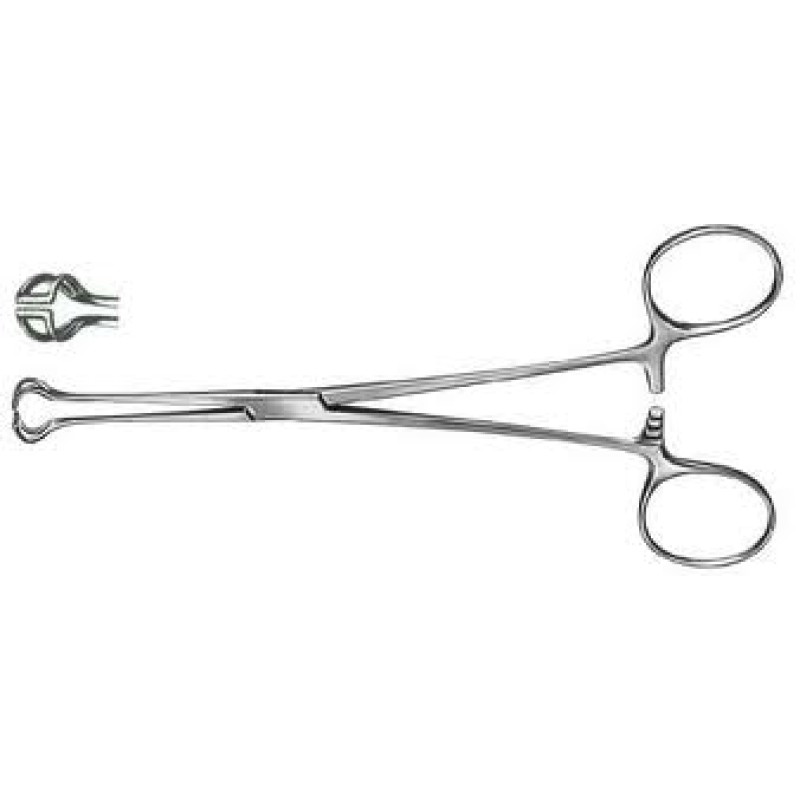 Babcock Baby Tissue Forceps