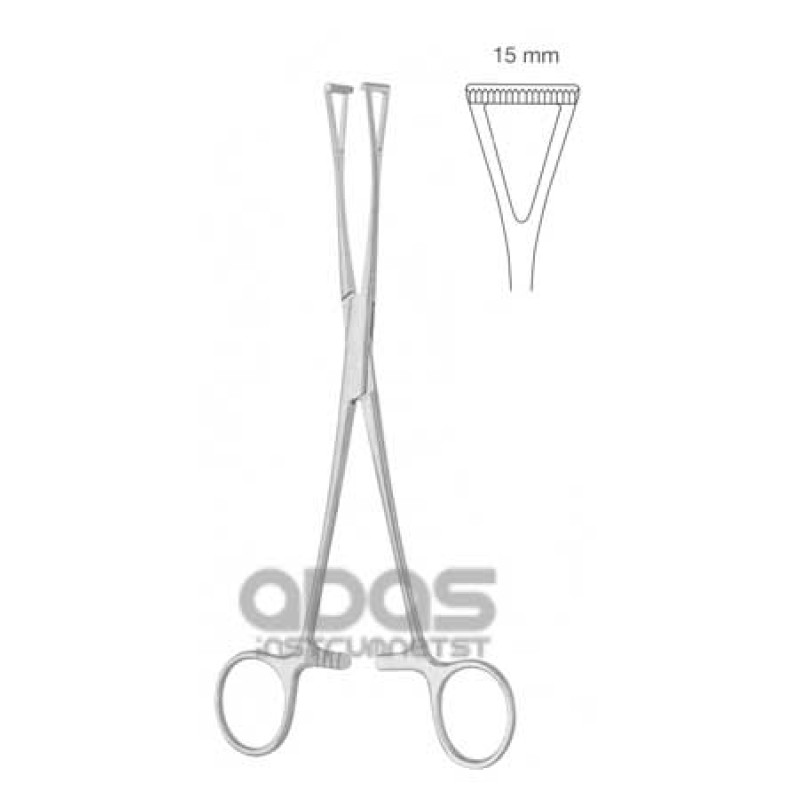 Duval Collin Tissue & Organ Holding Forceps