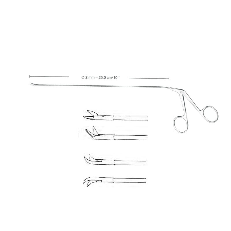 Endolaryngeal Micro-Surgery