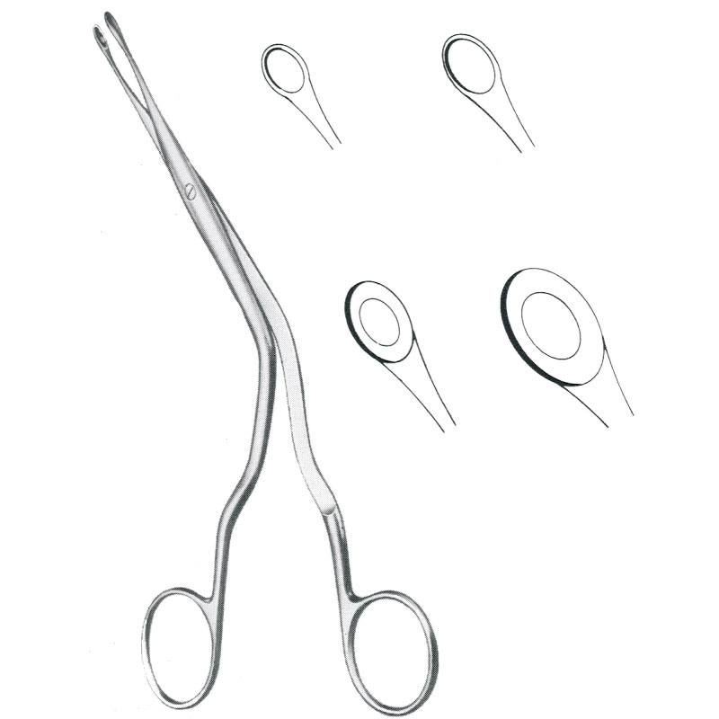 Luc Septum Forceps 20.0Cm