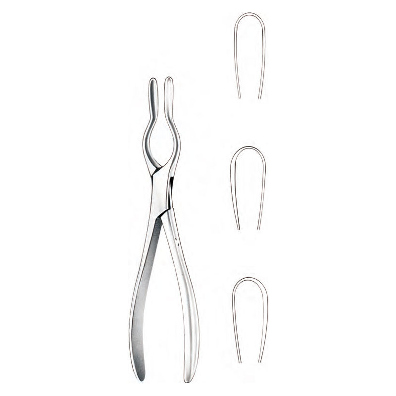 Walsham Septum Straightening Forceps 23cm