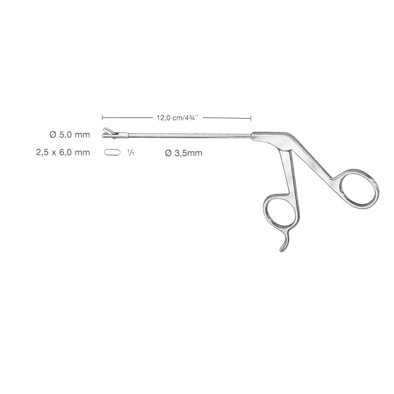 Stanzen Punches Sinuscopy Forceps