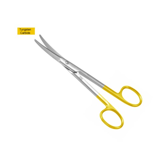 Aufricht Dissecting scissors Triangular Blades,